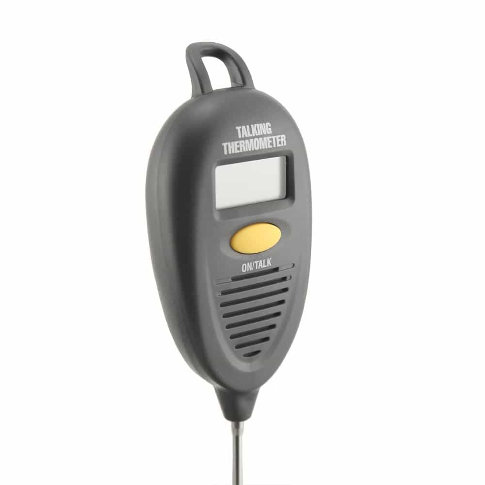 RT8400-talking-thermometer-g01.jpg